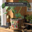 Jardinières en pot