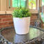 Pot de bambou d'intérieur / extérieur rond en bambou 7 po Bamboo Blooms
