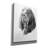 " B And T Coonhound " by Barbara Keith-1523160711