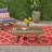 SEDONA COFFEE TABLE