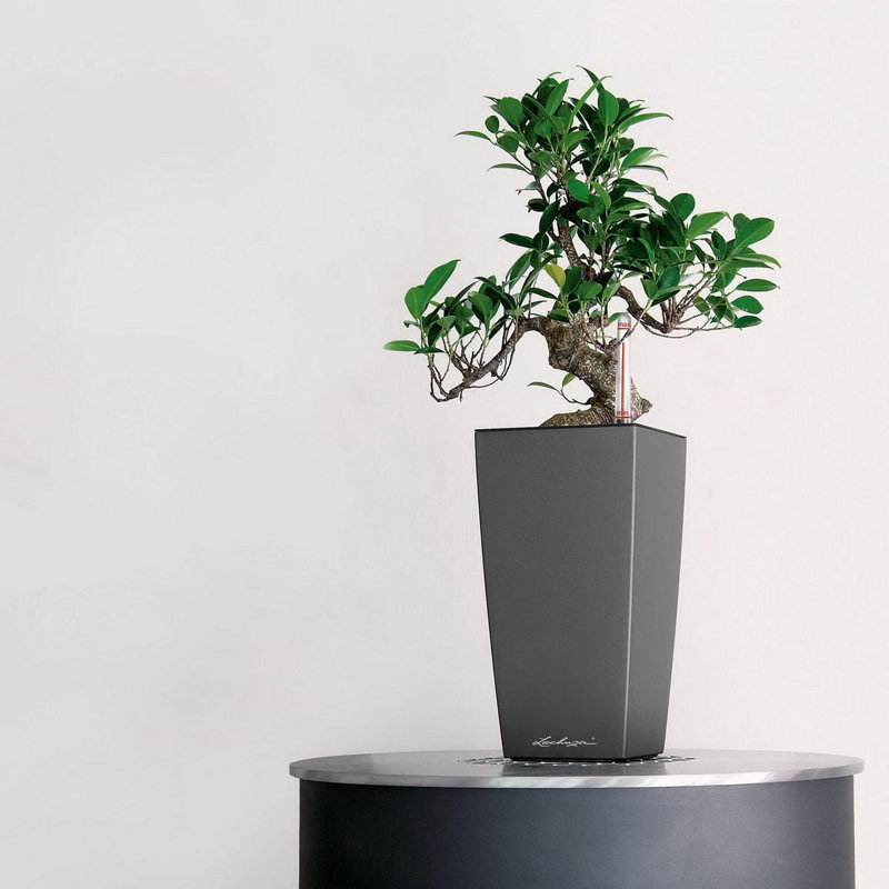 Pot Planter, Charcoal Metallic