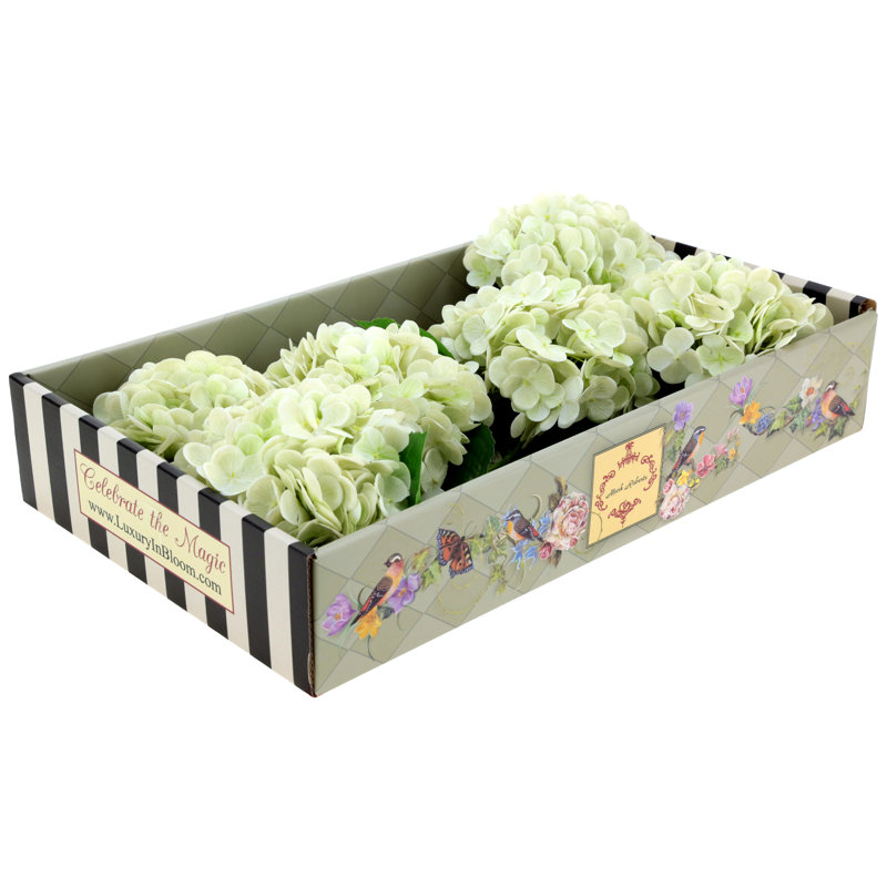 Vibrant Hydrangea Natural Touch, Box Of 6 - 19 Inches, White