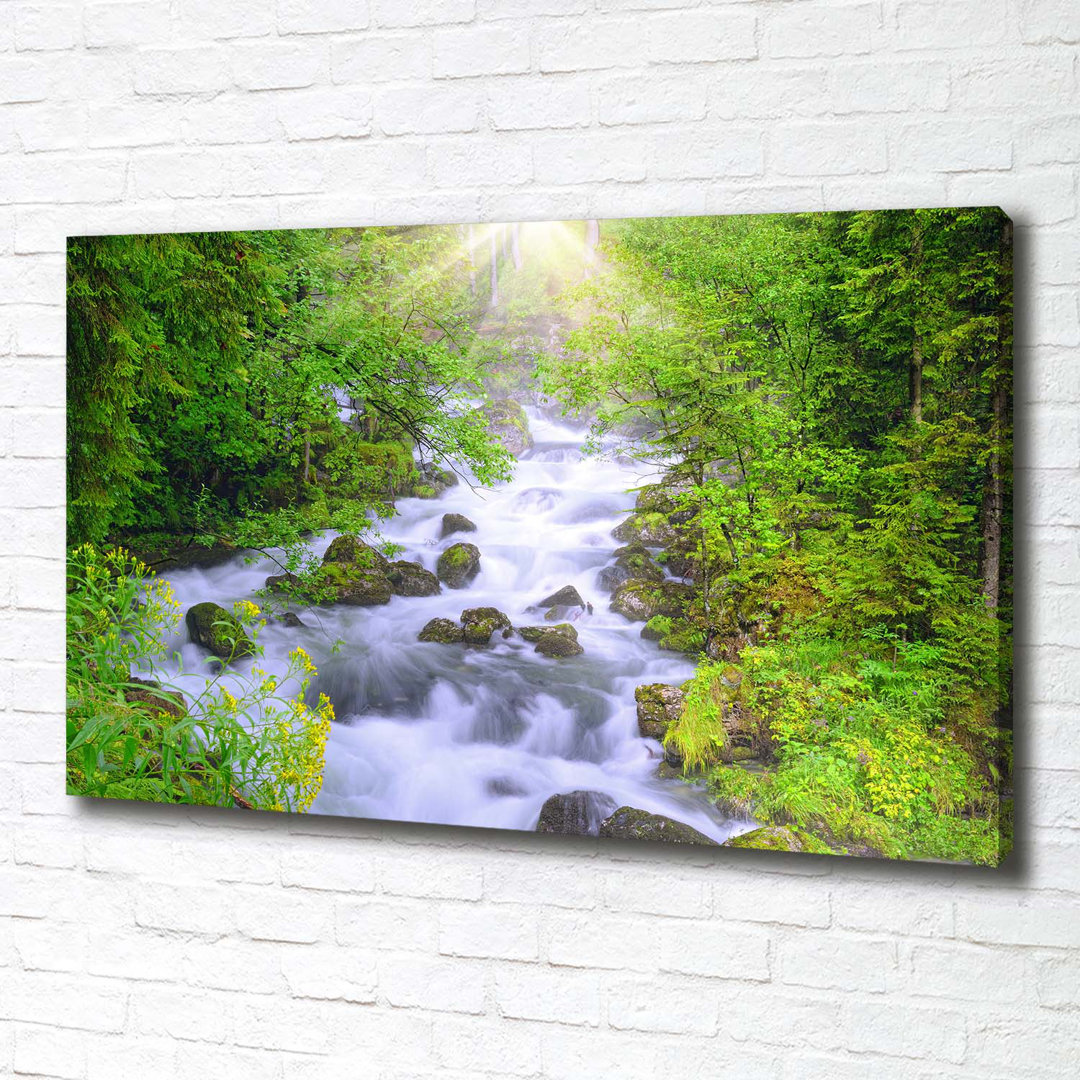 Mountain River - Kunstdrucke auf Leinwand