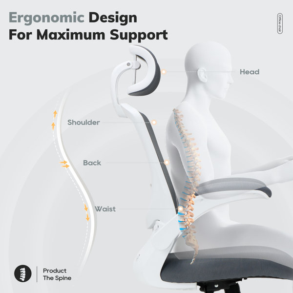 Diagram showing ergonomic support points on the human body.