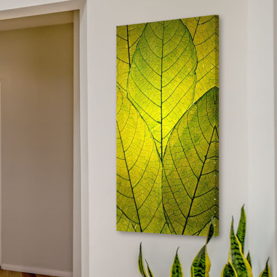 Reproduction d’art sur toile tendue "chaque feuille a fleur" par robin robin