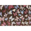 High-Quality Hand-Knotted Red And Black Area Rug