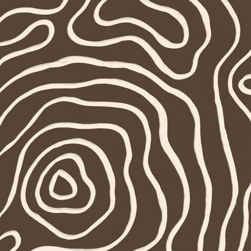 Carte topographique brune, H 12 po x l 12 po