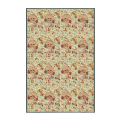 Indoor Rug