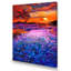 Champs de lavande au coucher du soleil - On-1832934019-1832934030