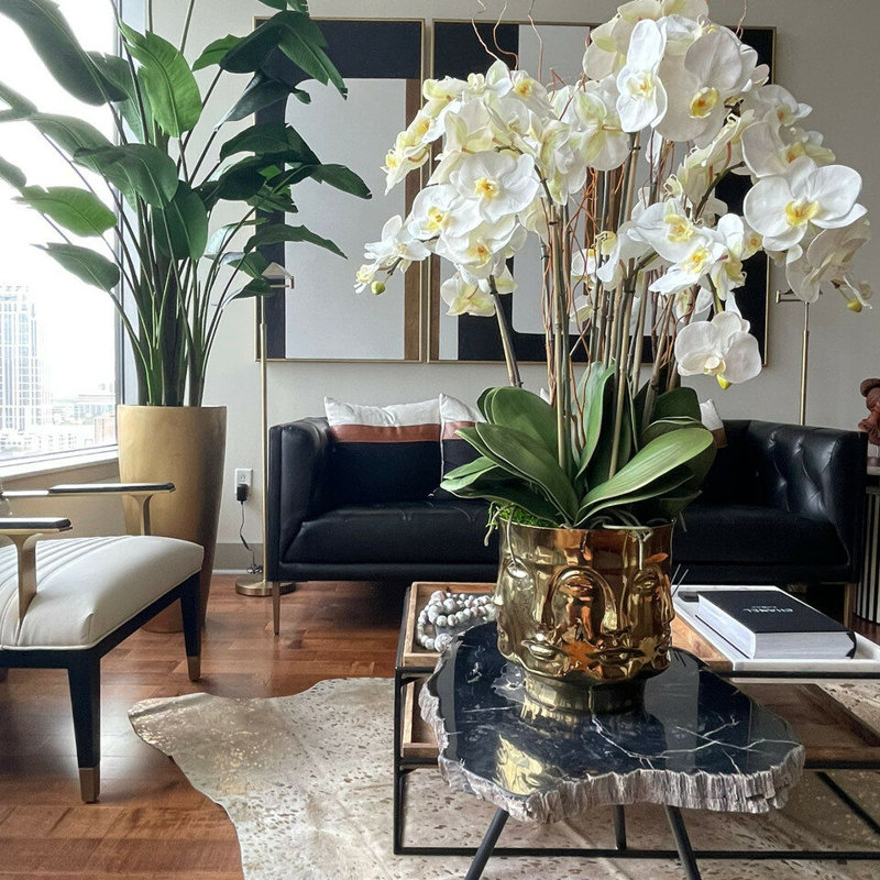 Orchid Floral Arrangement in Vase