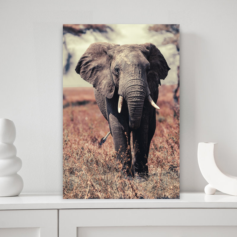 «Lonely Elephant Abstract», art mural contemporain, H 18 po x l 12 po
