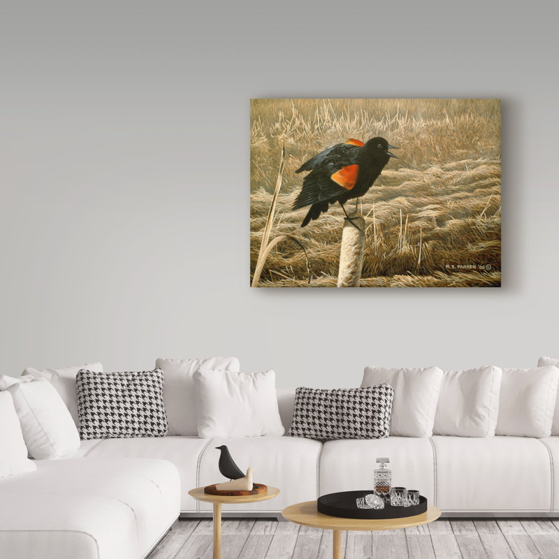 «Red Winged Blackbird» par Etelca, impression sur toile tendue, H 18 po x l 24 po x P 2 po
