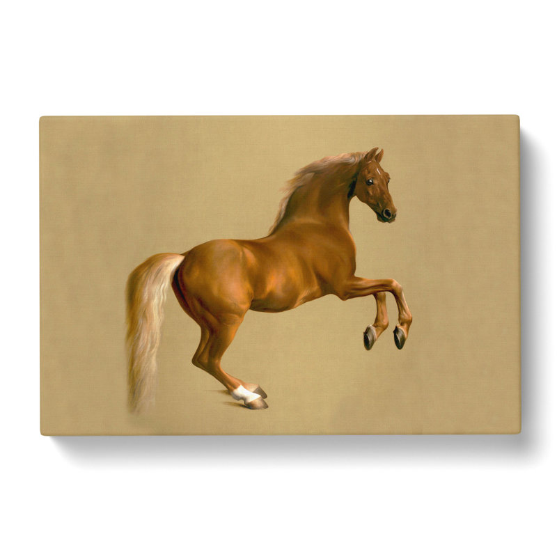 Whistlejacket by George Stubbs - Wrapped Canvas, 35cm H x 50cm W x 3cm D