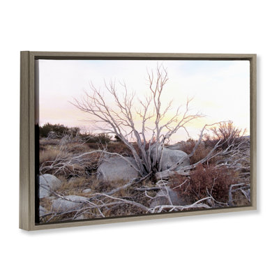 Cadre flottant Rocky Foothills Terrain, design par Gemma Bardot