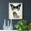 «Antique Blue Butterflies I», toile encadrée de qualité supérieure - prête à être accrochée-945602272-945602302