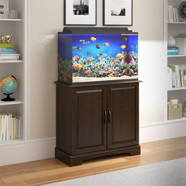 Archie & Oscar™ Deirdre Rectangle Aquarium Stand & Reviews | Wayfair