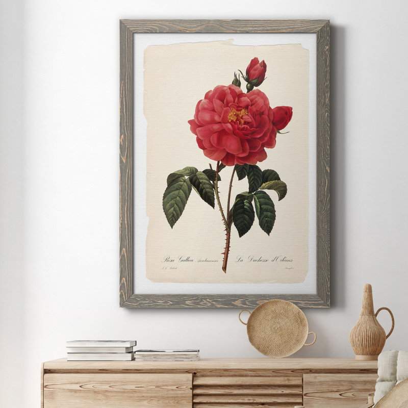 Red Botanical III - cadre photo, impression sur toile, H 31,5 po x l 23,5 po x P 1,5 po, Toile avec cadre gris