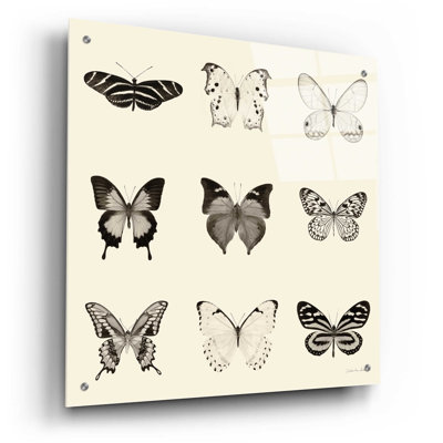 «Butterfly BW 9 Patch» par Debra Van Swearingen - impression sans cadre