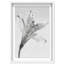 Delicate Spots Framed Graphic Art-1139302476-1139302479