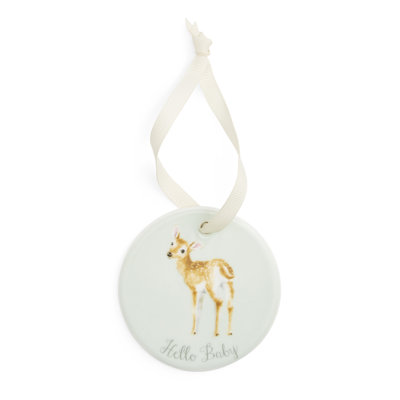 Little Wren Hello Baby Hanging Ornament
