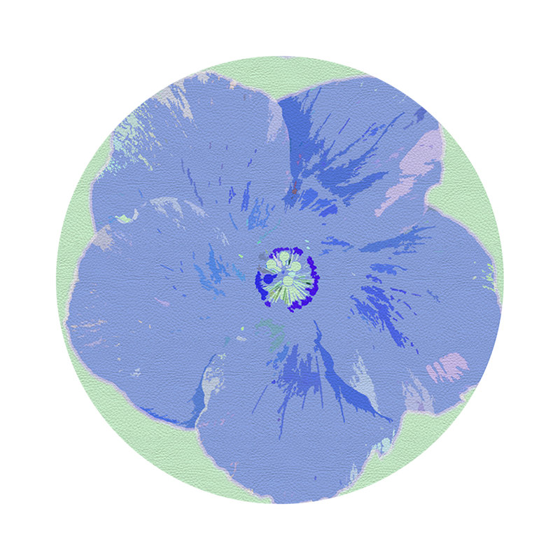 Napperon Hibiscus, Clématite