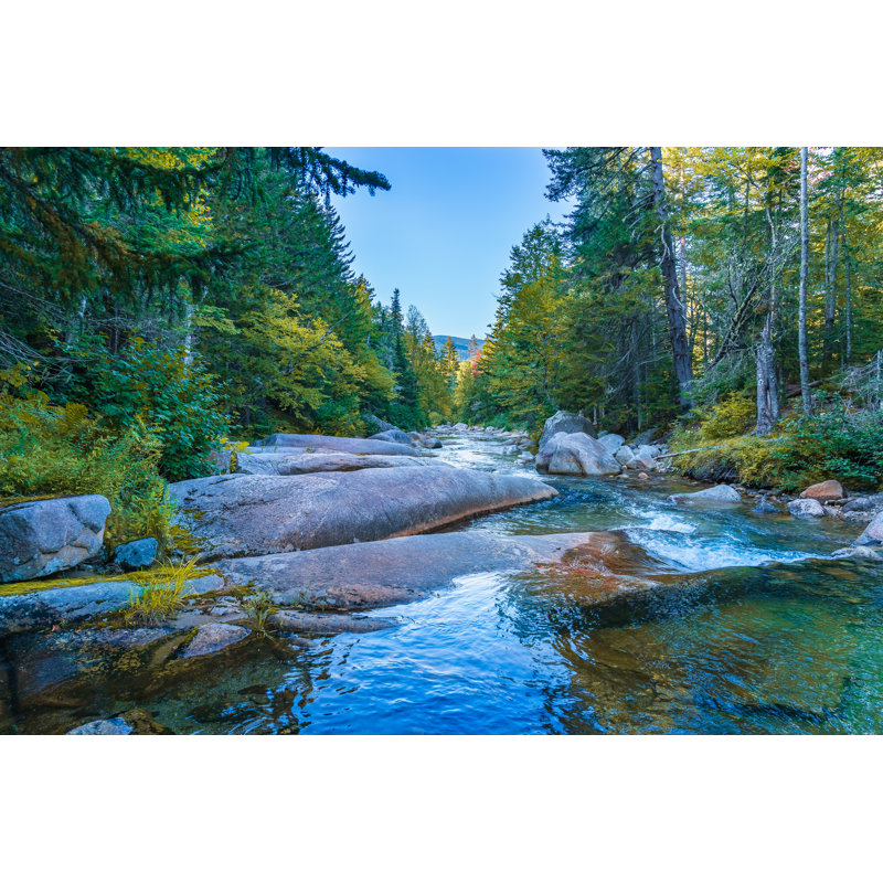 Mountain National Forest by Sergey-AND-Marina - Wrapped Canvas Print, 30cm H x 46cm W