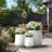Brennus 3-Piece Cement Pot Planter Set-1014766217