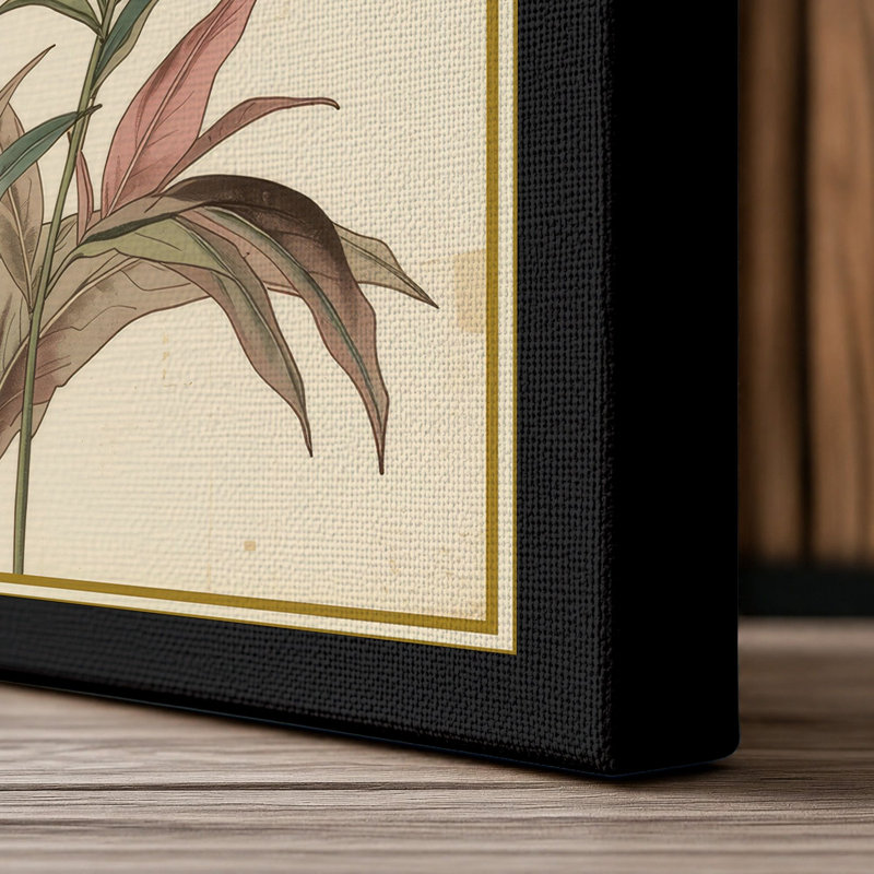 Carnation Study Botanical - Wrapped Canvas, 24x16 - 61.0 x 40.6 cm, Black Border