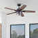 Idris 52'' Ceiling Fan with LED Lights and Remote Included