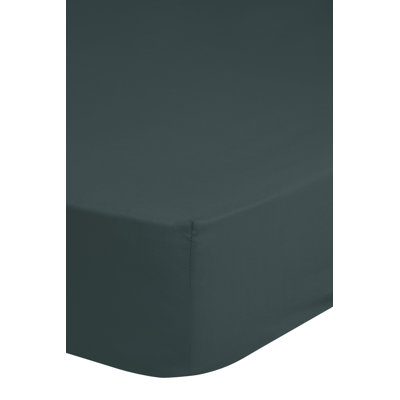100% Cotton Renforce Fitted Sheet