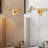 Viviani Iron Plug-in Armed Sconce