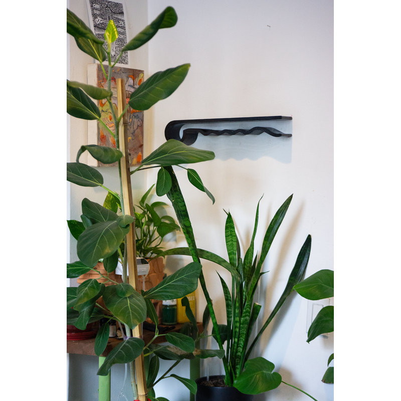 The Bobbi Shelf