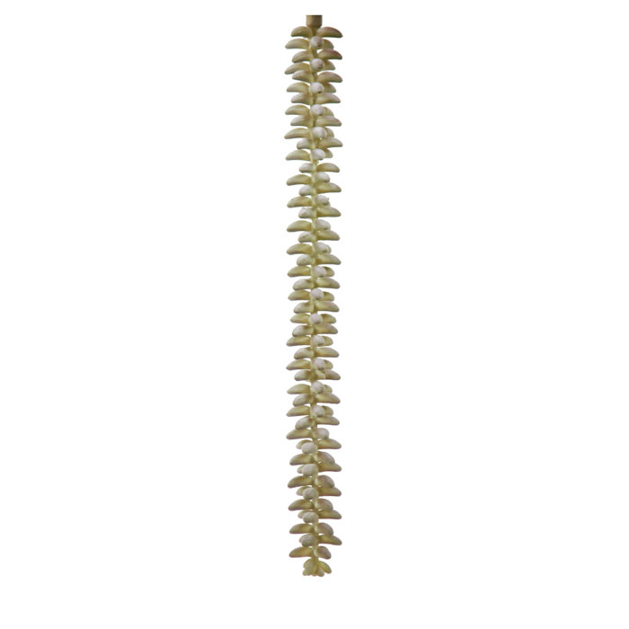 Grappe de cactus artificiel diy feuillage, 12 po