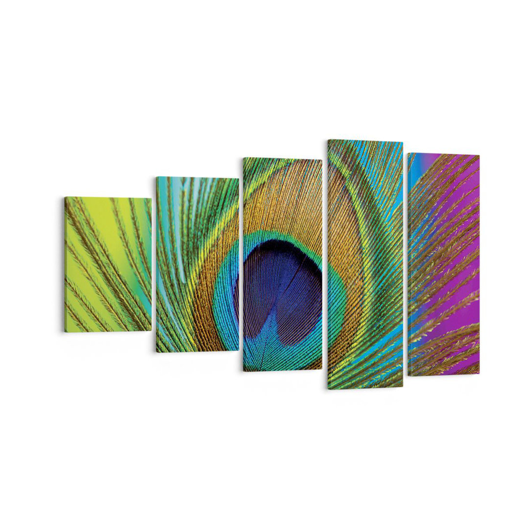 5-tlg. Leinwandbilder-Set Peacocks Feather Rainbow