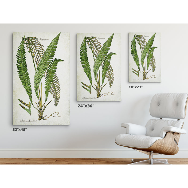 «Botanical Plate XXI», impression sur toile tendue, H 32 po x l 48 po x P 1,5 po