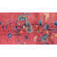 Warm Rustic Antique Art Deco Swimming Swan Pattern Chinese Rug