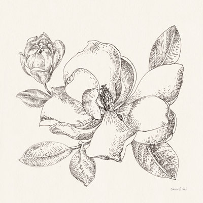 Croquis de fleurs II