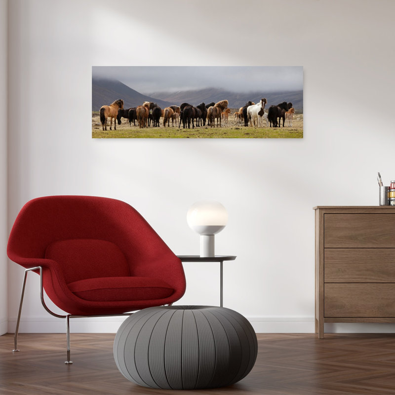 Wild Horses Mountain Field by Torsteinn H. Ingibergsson - Wrapped Canvas Panoramic Print, 30.48 cm H x 91.44 cm W
