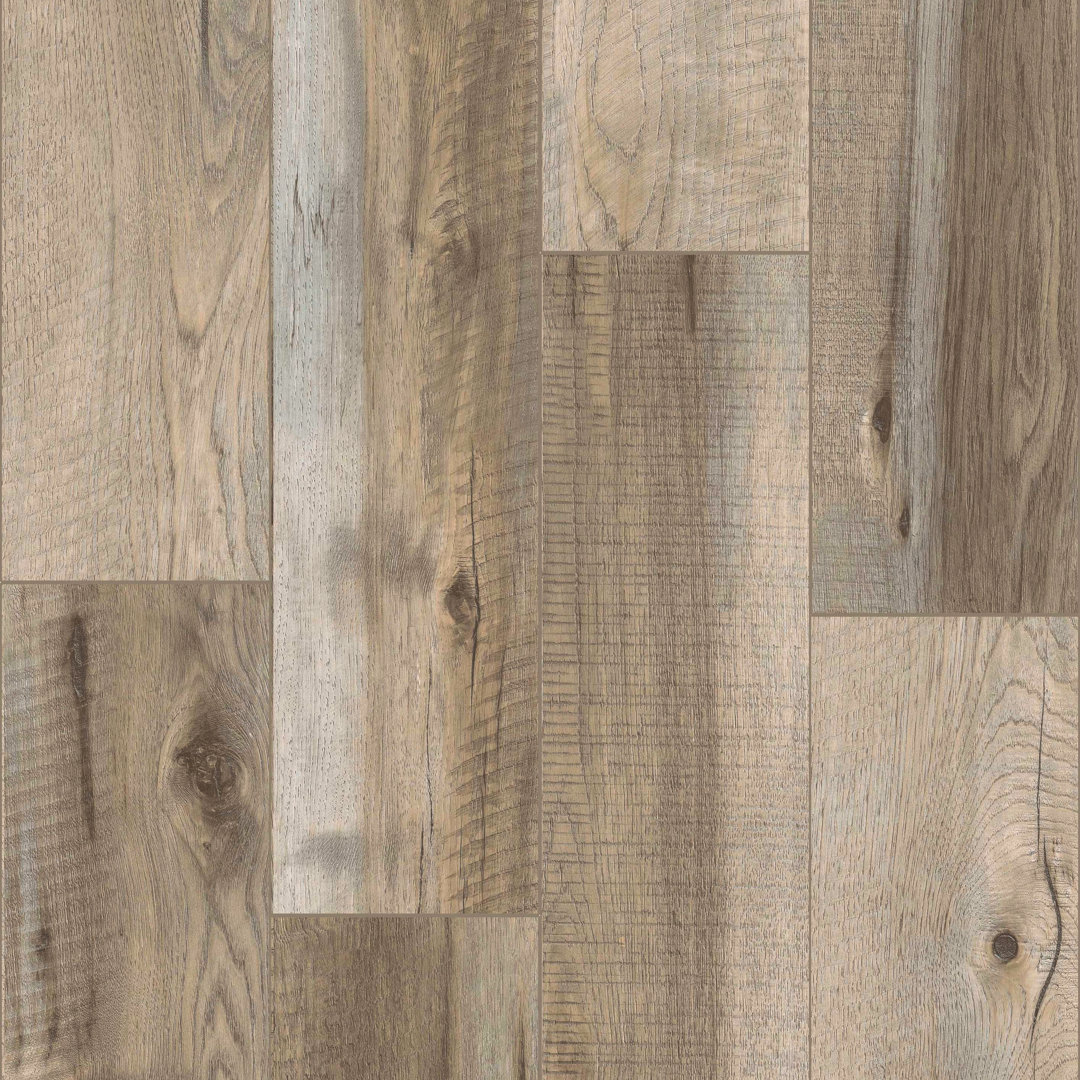 Cloud Nine 6.51'' W x 48'' L x 12'' Oak Laminate Flooring Dyno Exchange 