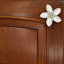 2" Plumeria Flower Medium Knob-126755985-104672780-39948783