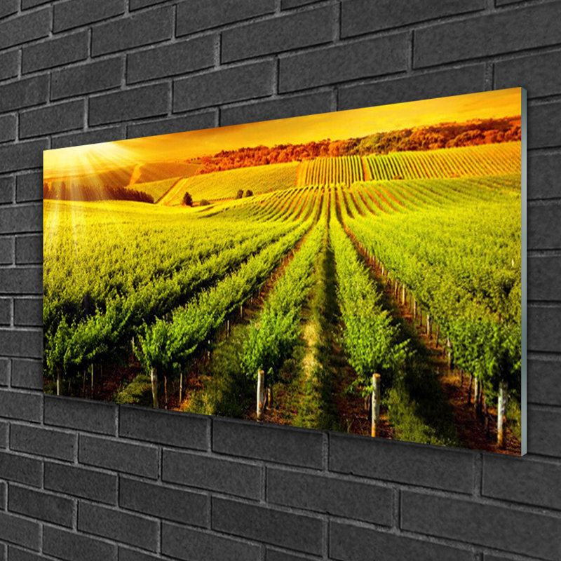 Field - No Frame Print on Glass