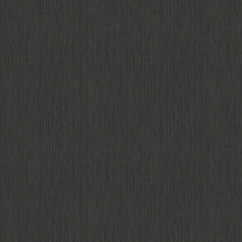 Praveen 10.05m x 53cm Matte Double Roll, Dark Grey
