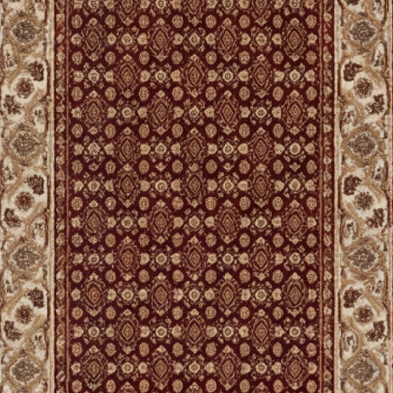 Ahlina Indoor Rug, Runner 2' x 20'