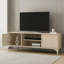 Harrington 2 Door TV Unit with Open Shelves-114867373