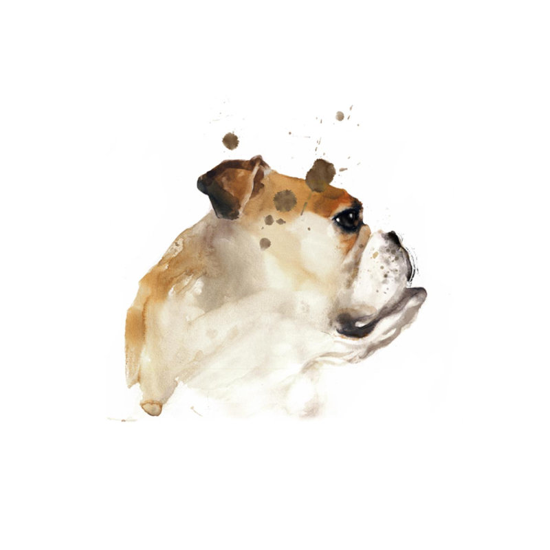 Dog Days V Print by Emma Brooks, Glass Coat, 30" H x 30" W x 1.5" D