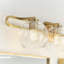 Eveline 4 Light Transparent Dimmable Vanity Light-1618508671
