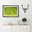 Leaf Roads - Picture Frame Graphic Art Print-56859861-56859862