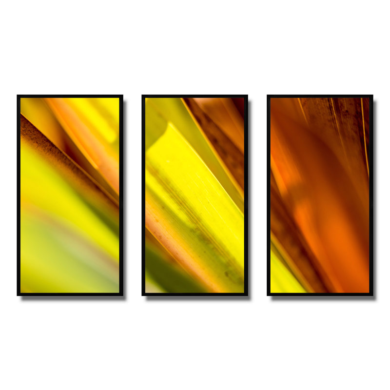 «Light Green and Orange Sunshine», reproduction de cadre flottant sur toile 3 pièces, Cadre noir, H 20 po x l 36 po x P 1 po