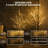Prelit Birch Tree Light Set