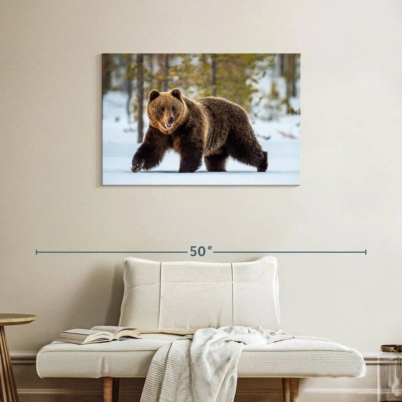 Adulte grizzly, H 24 po x l 36 po